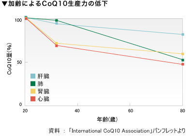 ˤCoQ10Ϥ㲼